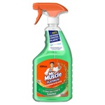 Mr Muscle Platinum Window & Glass Cleaner (750 ml)